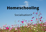 Homeschooling: “What about the social aspect?”