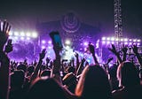 Who is My Audience and How to Grow Them?