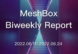 MeshBox Biweekly Report (2022.06.11–2022.06.24)