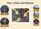 What I Have Learned About Urban Soils: Part 2