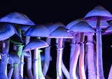Is it Time to Treat Alcoholism or Depression With Psilocybin?