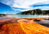 Entrepreneurs Hope Microbes Hold the Key to a Food Revolution