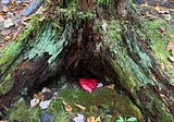 Heart Reading … Day 101