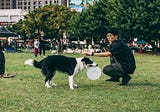 The Helsinki Puppy Parade Goes Virtual!