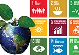 Sustainable development and how to improve on it