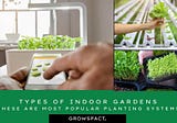 Different types of indoor gardens — These are the most popular indoor planting systems