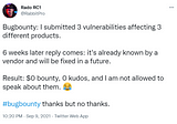 Bug Bounty Programs: Why it’s considered a hassle and what you can do about it