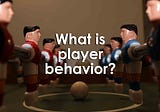 What is player behavior?