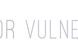 V Is For Vulnerability