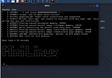 How to make linux kernel with Nasm, Go binary, mini linux