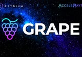Great Apes - prepare for the launch of GRAPE!