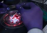 A Mini Revolution in Brain Science