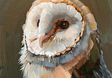 The Second Wife’s Owl