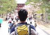 Japan: Sakura Explorations