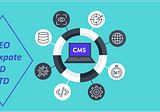 The 16 Best CMS Systems of the Present and How to Select | SEO Expate BD LTD
