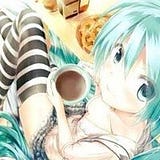 Sora Koala Bear Takasu