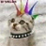 Punkkitty312
