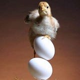 Alperen Süs Hobi Tavukları