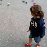 shosho