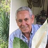 Hugo A Velado Mèndez