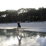 Shannon Ripple