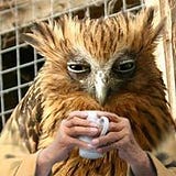 Keith Murgatroyd Welch