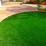 AmazonGrass