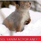 sen olmasaydın :(