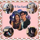 CindyWilliam Richard Tan