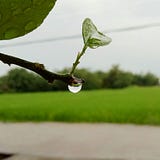 TT_UP