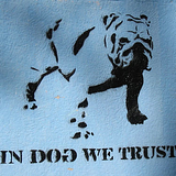 In Dog We Trust