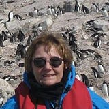 Linda Barbone