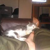 Jay L Hatlen Linnell