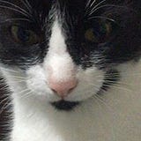 Juan Martin Contreras