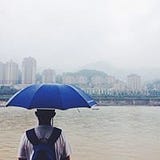 Arice Xu