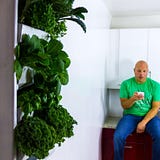 Plantaire
