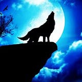 Nicole Andres Sambor