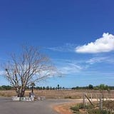 Myurapavan Ravindralingam