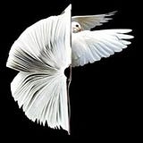 Le Plaisir du français 法語的歡愉