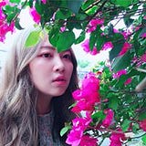 Flower Huang