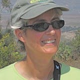 Jan Callahan Litvin