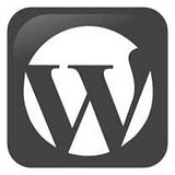 WordPressWiz