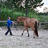 Juliana Dorneles ST Instructor