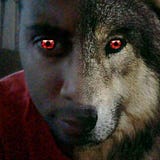 The Gray Wolf Blog