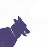 ميمالعاقله﴾.