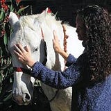 Colleen Mulrooney