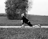 Clemens Buch
