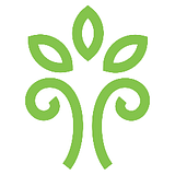 Instanatura