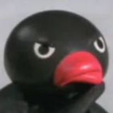 Tom