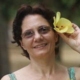 Maria Alice Cacciolari Menezes
